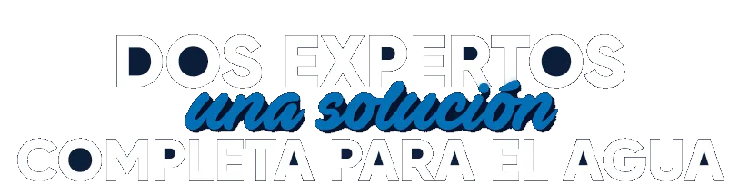 Dos expertos una solucion