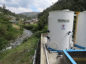 N2